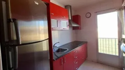 Miniatura 12