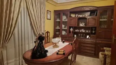 Miniatura 9