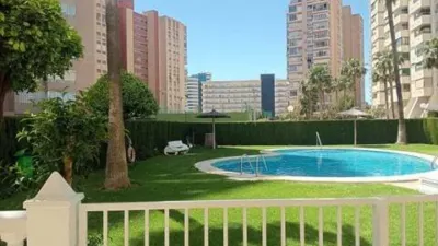 Apartment in Racó de l'Oix photo 8