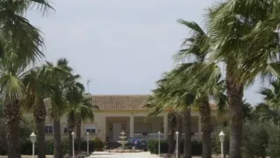 Casa – Elx - Elche - Vista 3