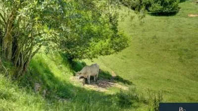 Rustic farmhouse in Oiz photo 16