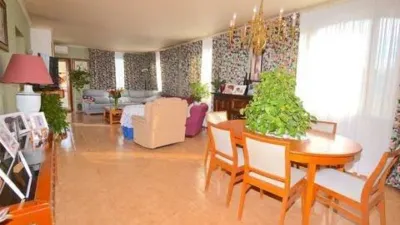 Chalet in Pedreguer photo 5