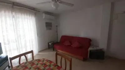 Apartment in Platja de Ponent photo 10