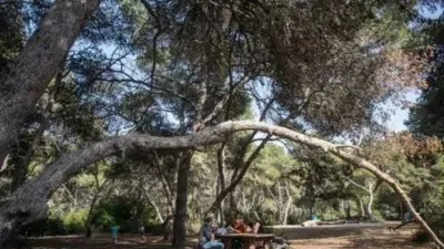 Piso en alquiler en Pobles del Sud - Imagen 16