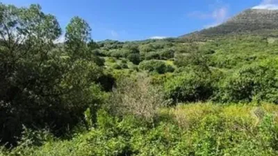 Casa - Vista 5