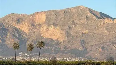 Terreno en venta en Catral - Vista 4