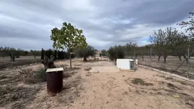 Rustic house in Villena photo 3