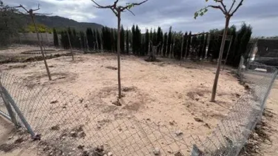 Rustic house in Villena photo 4