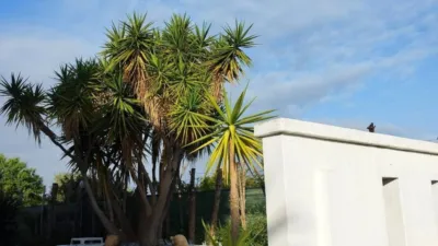 House in Capellanía-Retamar photo 6