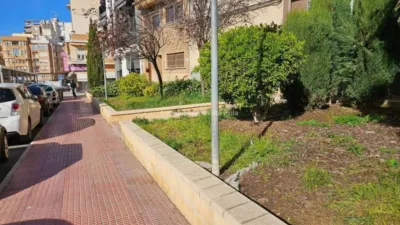 Penthouse in Centre-Port-Platja Llevant photo 29