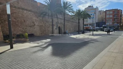 Penthouse in Centre-Port-Platja Llevant photo 30