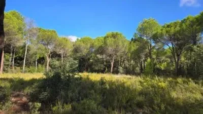 Terreno en venta en Pedanías y Barrios Rurales - Vista 2