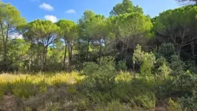 Terreno en venta en Pedanías y Barrios Rurales - Vista 3