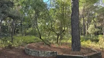 Terreno en venta en Pedanías y Barrios Rurales - Vista 4