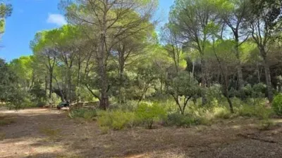Terreno en venta en Pedanías y Barrios Rurales - Más