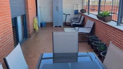 Miniatura 10