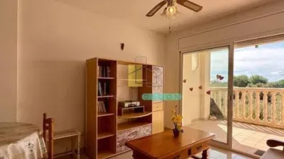Apartment in Empuriabrava photo 4
