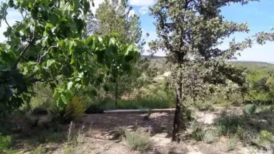 Chalet in Chiva photo 19