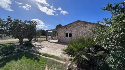 Piso – Villena, l'Alt Vinalopó / El Alto Vinalopó - Vista 3
