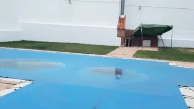 Miniatura 10