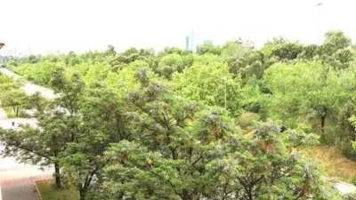 Piso en alquiler en Las Tablas - Imagen 23