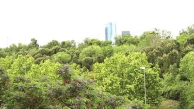 Piso en alquiler en Las Tablas - Imagen 25