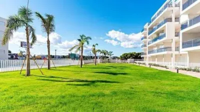 Apartment at Plaza Residencial C1 Playazo, 16 photo 37