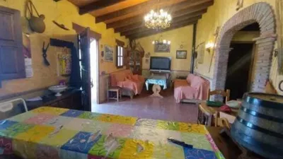 Rustic house in Algarrobo photo 7