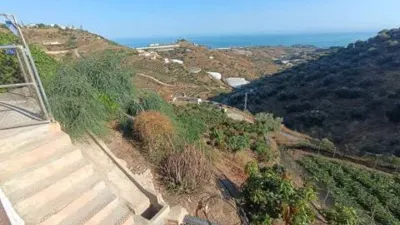 Rustic house in Algarrobo photo 22