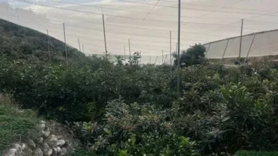 Piso – Callosa d'en Sarrià, la Marina Baixa - Vista 5
