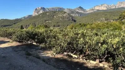 Pis – Callosa d'en Sarrià, la Marina Baixa - Vista 2