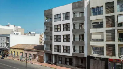 Apartment in Guardamar del Segura photo 3