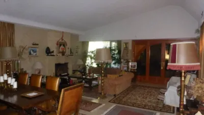 Miniatura 9