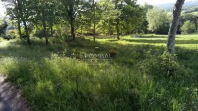 House in Porqueira photo 20