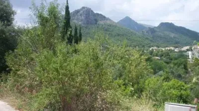 Terreno en venta en Orba - Vista 3