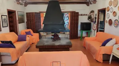 Miniatura 11