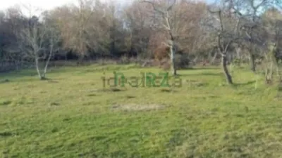 Rustic house in A Quinta (Cenlle) photo 10