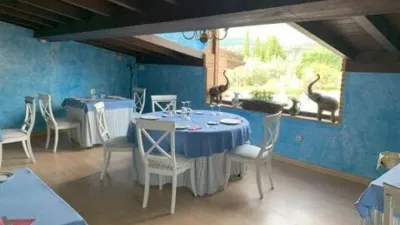 Rustic house in Villanueva de La Vera photo 12