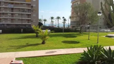 Apartment in Playa de San Juan photo 26