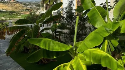 House in Rojales, Ciudad Quesada - Vista 6