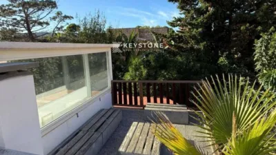Chalet in Son Servera photo 5