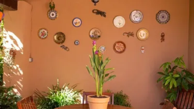 Casa rústica en venta en Sa Pobla, Sa Pobla de 849.000 €
