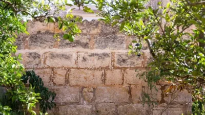 Casa rústica en venta en Sa Pobla, Sa Pobla de 849.000 €