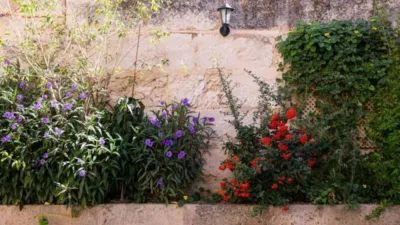 Casa rústica en venta en Sa Pobla, Sa Pobla de 849.000 €