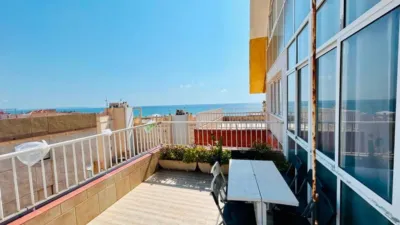 Apartment in Guardamar del Segura photo 3