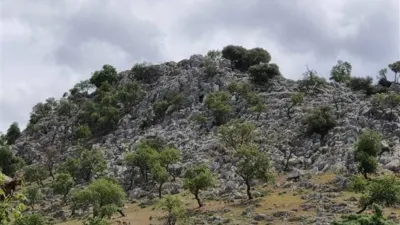 House in Cuevas del Becerro photo 12