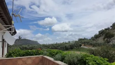 House in Cuevas del Becerro photo 43