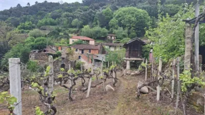 House in A Arnoia photo 37