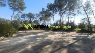 Rustic house in Algaida photo 4