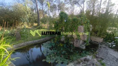 Rustic house in Algaida photo 5